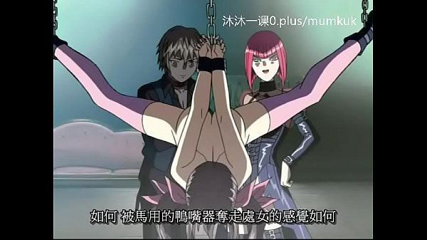 A95动漫 中文字幕 中课 鸽血1-2 第二部 激情四射
