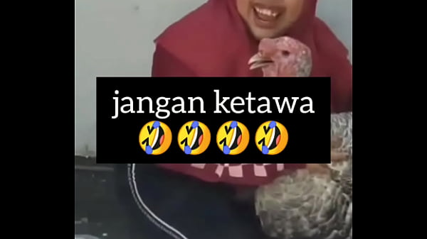 Gadis Montok Ngakak Sambil Ngeloyor Nafsu Bejat.